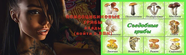 MDMA Богданович