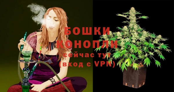амф Белая Холуница