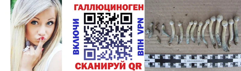 закладка  Верхотурье  мега сайт  Псилоцибиновые грибы прущие грибы 